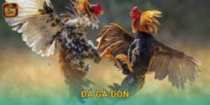 Đá Gà Đòn Winclub – Sức Mạnh Bùng Nổ