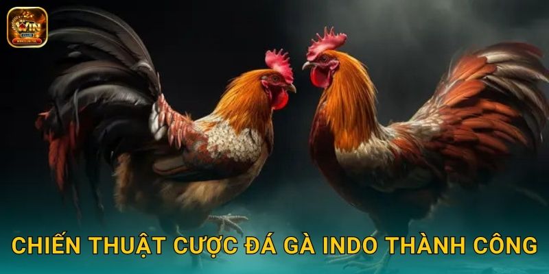 Chiến thuật cược đá gà Indo thành công