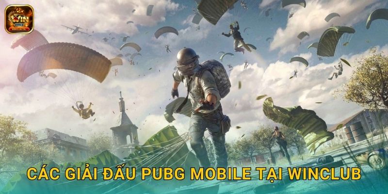 PUBG Mobile Winclub - Cược Esports Di Động Top 1 2 Các giải đấu PUBG Mobile tại Winclub