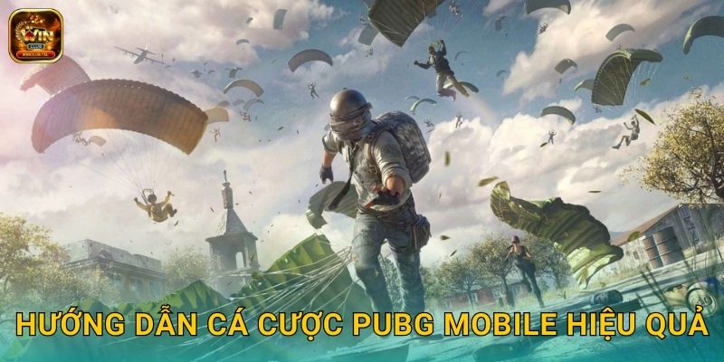 PUBG Mobile Winclub - Cược Esports Di Động Top 1 3 Hướng dẫn cá cược PUBG Mobile hiệu quả